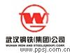 武汉钢铁集团鄂城钢铁有限责任公司