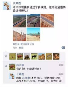 中国制造的亚博登录注册平台非洲铁路质量效应是嘎嘎... 区域知识局